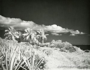 Dark skies over a lovely tropical, yet foreboding, beach scene in 1950's Bahamas. Palm trees in black and white infrared.