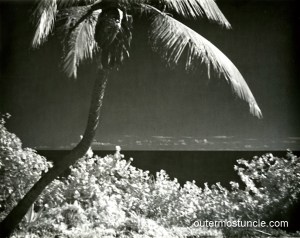 1940's tropical beach scene of an island in the Bahamas.