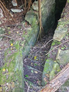 A photo of steps, descending into the dark, with tropical vines creeping around.