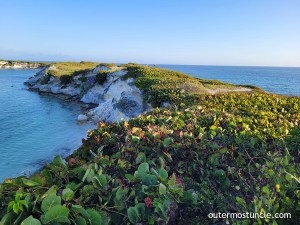 The green covered cliffs along the shore of North Beach on San Salvador Island, Bahamas.