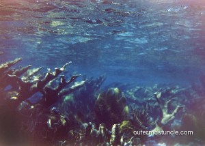 1950's underwater Bahamas coral.