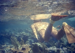1950's color photograph underwater snorkeler with speargun. Taken in the Bahamas.