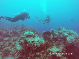 Underwater SCUBA photograph. 2024 San Salvador, Bahamas. It shows 2 divers.