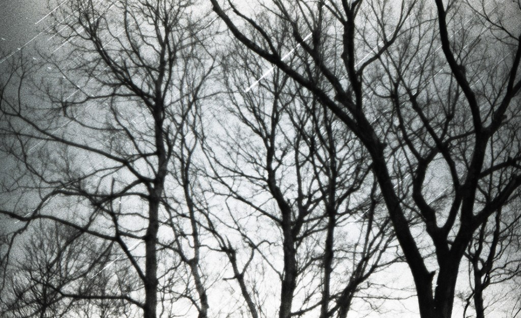 Star trails on black and white film. Taken with a Pentax Spotmatic on a chilly night at a campsite in Indiana.