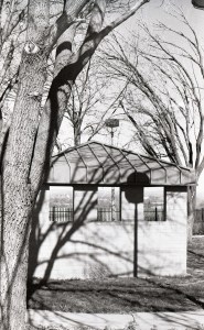 A black and white image of tree shadows at a rest stop.