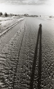 A long shadow on a gravel road.