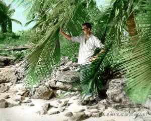 The same photo as above, tinted by me.