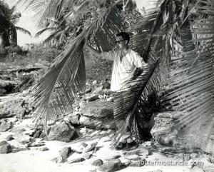 A 1950's black and white photo of a man stand behind a palm frond, looking off to the sea.
