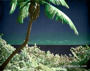 Same as above but in living color.