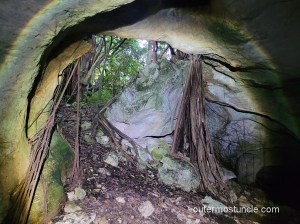 Inside the bat cave, taken with light provided by a flashlight. Mayaguana Island, Bahamas. 2024.