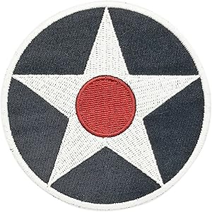 The described Army insignia.