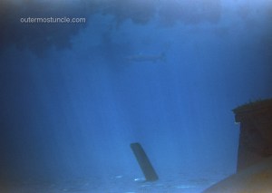 Underwater photo of possible boat parts, lurking.  Taken by my Uncle in the 1950's.