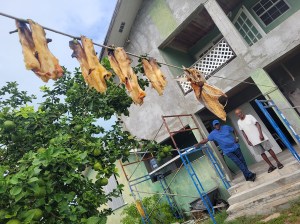 Two men standing at the back of a  house, with dried fish hanging in the foreground. Pirates Well, Mayaguana, Bahamas.