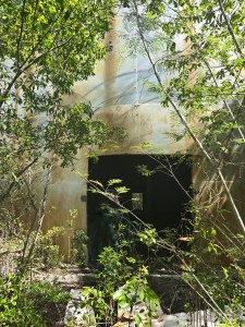 A photograph of foliage and a torch-cut entry hole. Access to the tank's interior.