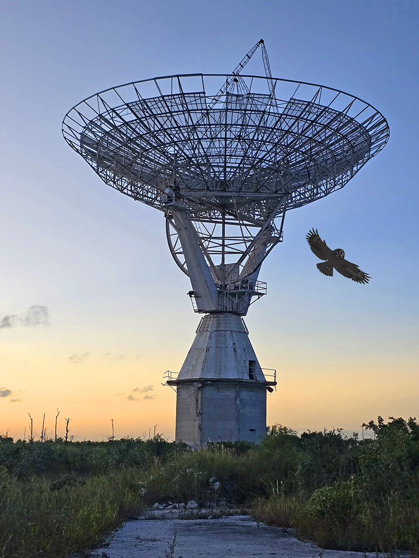 #33 Mythical synthesis